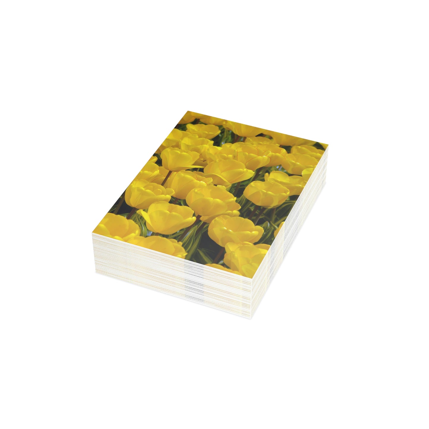 Flowers 23 Greeting Cards (1, 10, 30, and 50pcs)