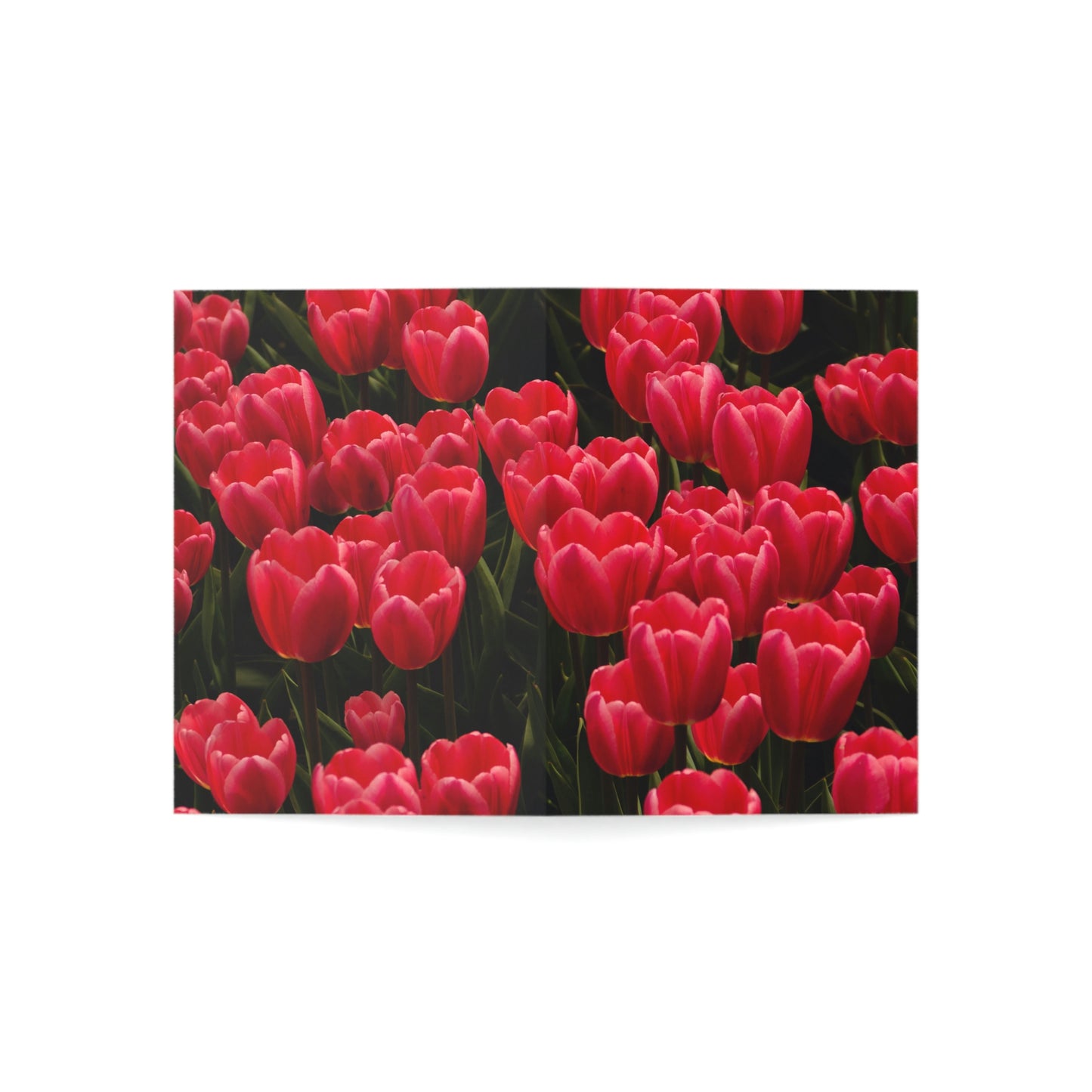 Flowers 24 Greeting Cards (1, 10, 30, and 50pcs)