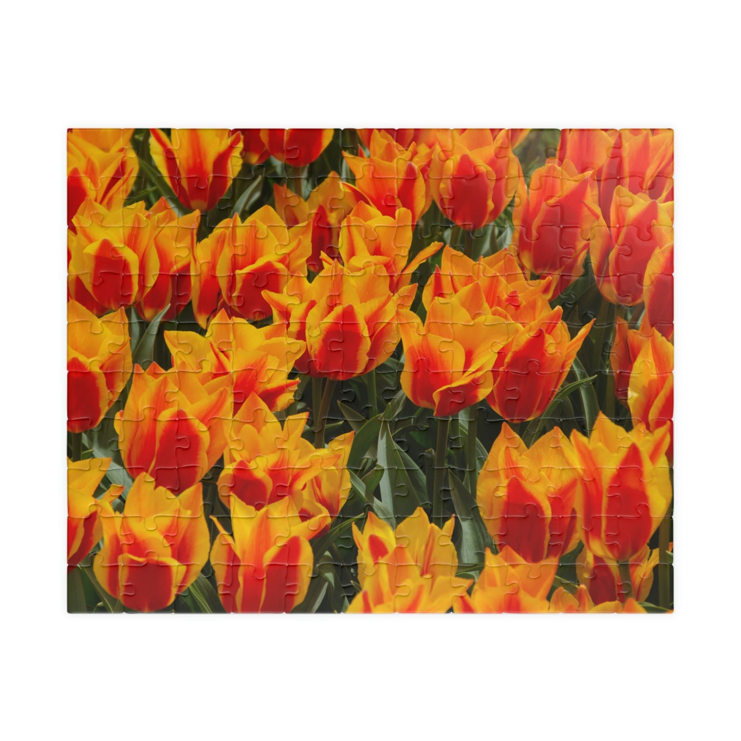 Flowers 17 Puzzle (110, 252, 500, 1014-piece)