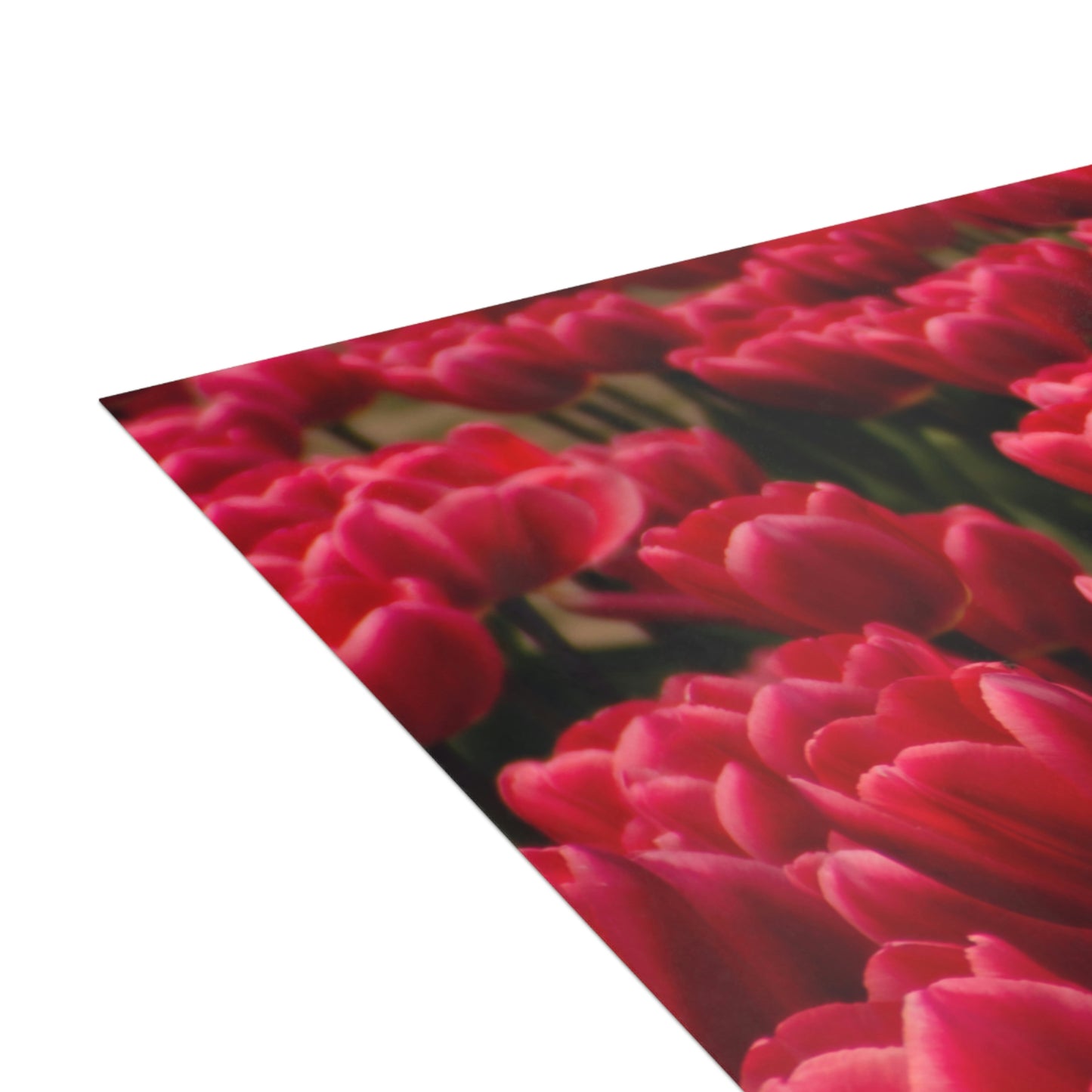 Flowers 16 Greeting Cards (1, 10, 30, and 50pcs)