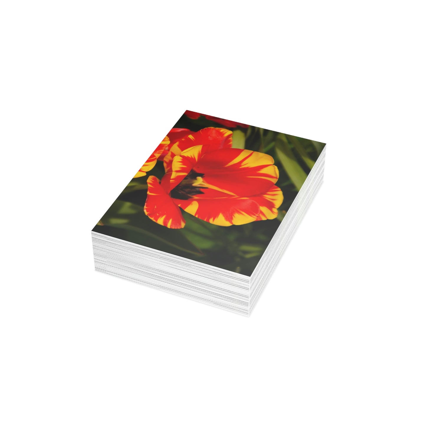 Flowers 09 Greeting Cards (1, 10, 30, and 50pcs)