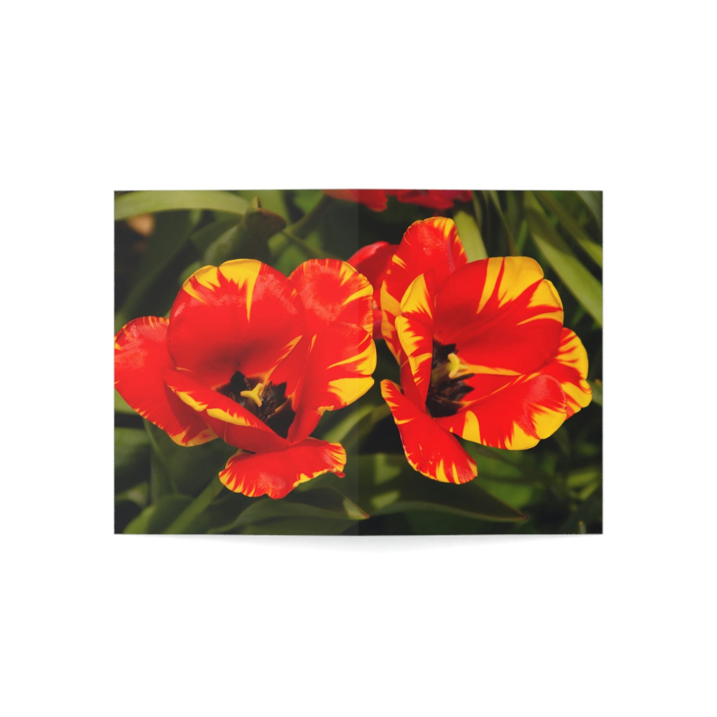 Flowers 09 Greeting Cards (1, 10, 30, and 50pcs)