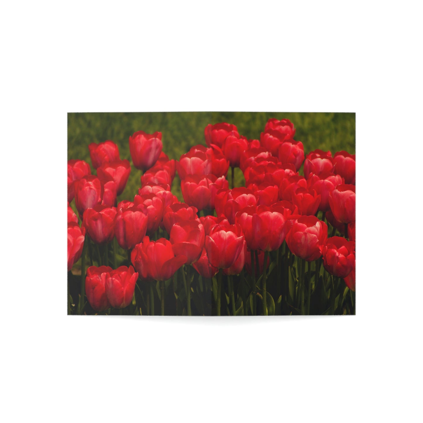 Flowers 22 Greeting Cards (1, 10, 30, and 50pcs)
