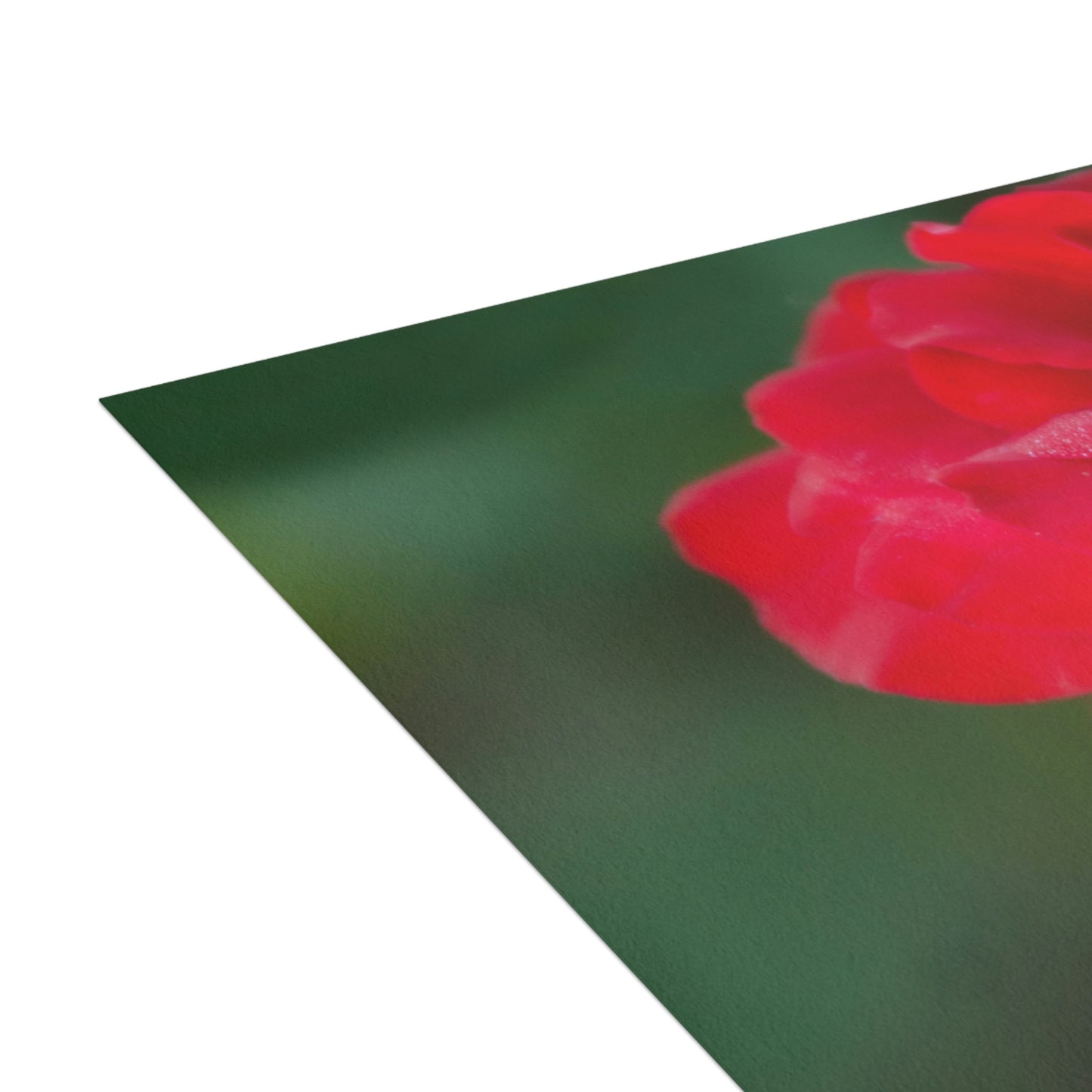Flowers 13 Greeting Cards (1, 10, 30, and 50pcs)