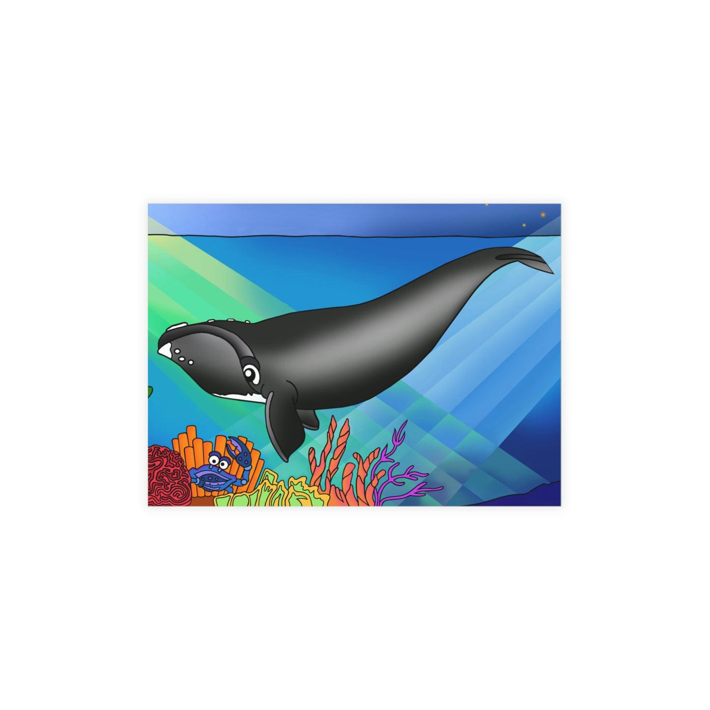 Gray Whale Greeting Card Bundles (envelopes not included)