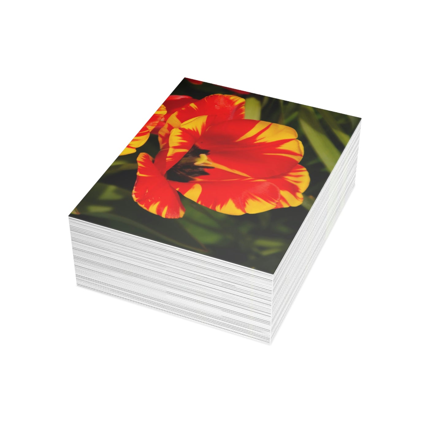 Flowers 09 Greeting Cards (1, 10, 30, and 50pcs)