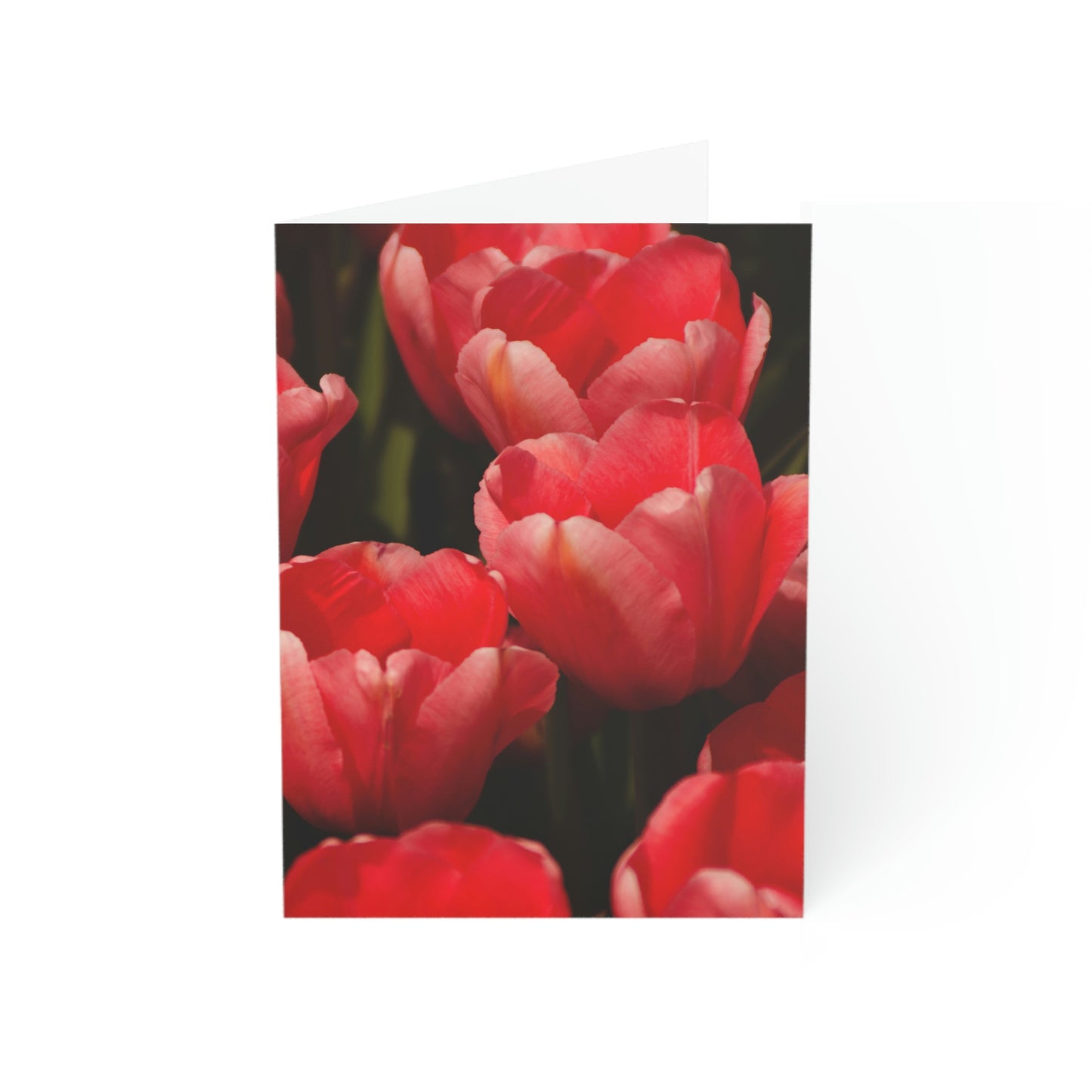 Flowers 07 Greeting Cards (1, 10, 30, and 50pcs)
