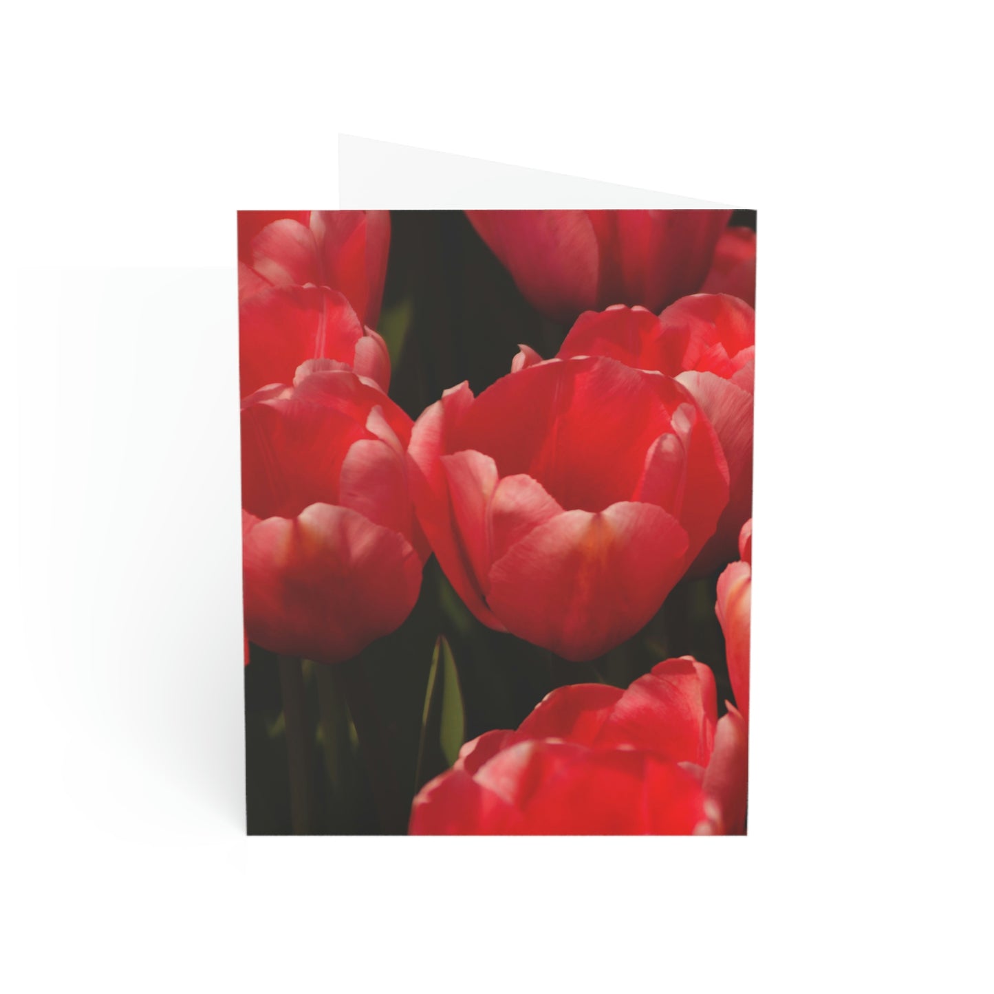 Flowers 07 Greeting Cards (1, 10, 30, and 50pcs)