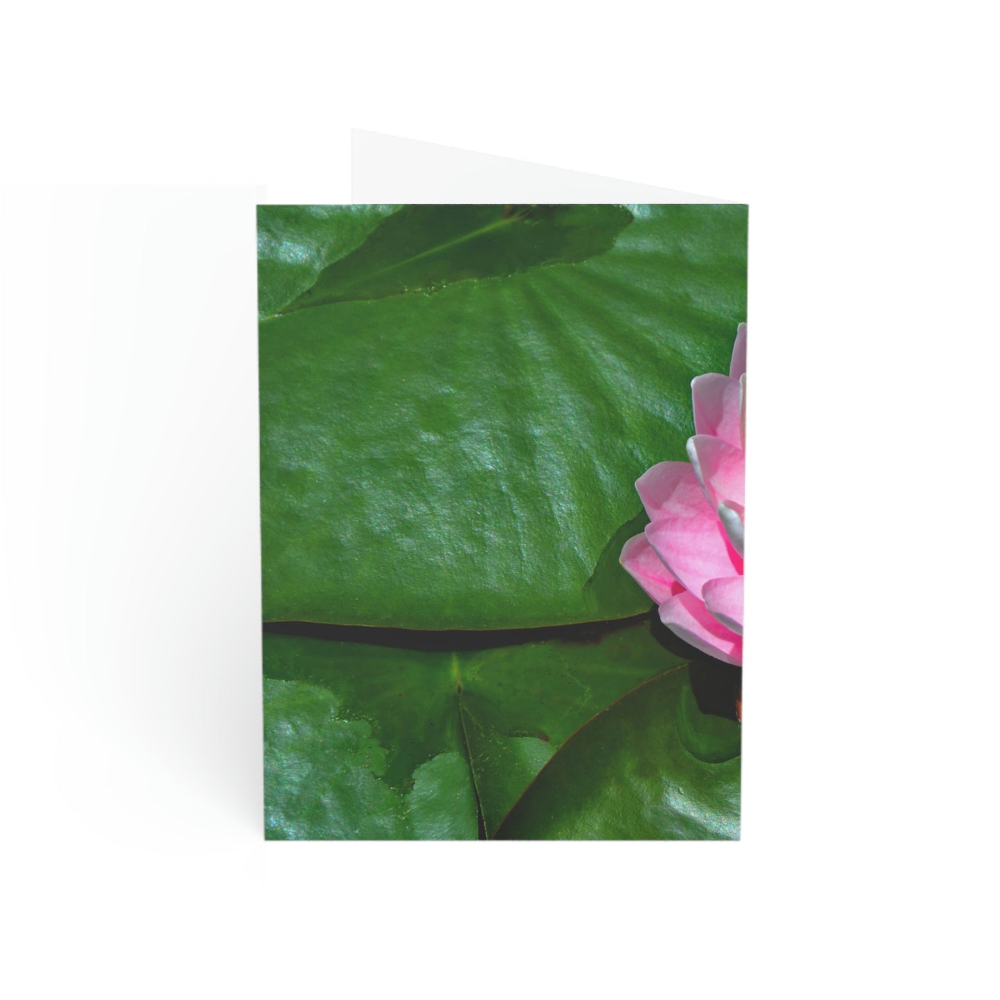 Flowers 25 Greeting Cards (1, 10, 30, and 50pcs)