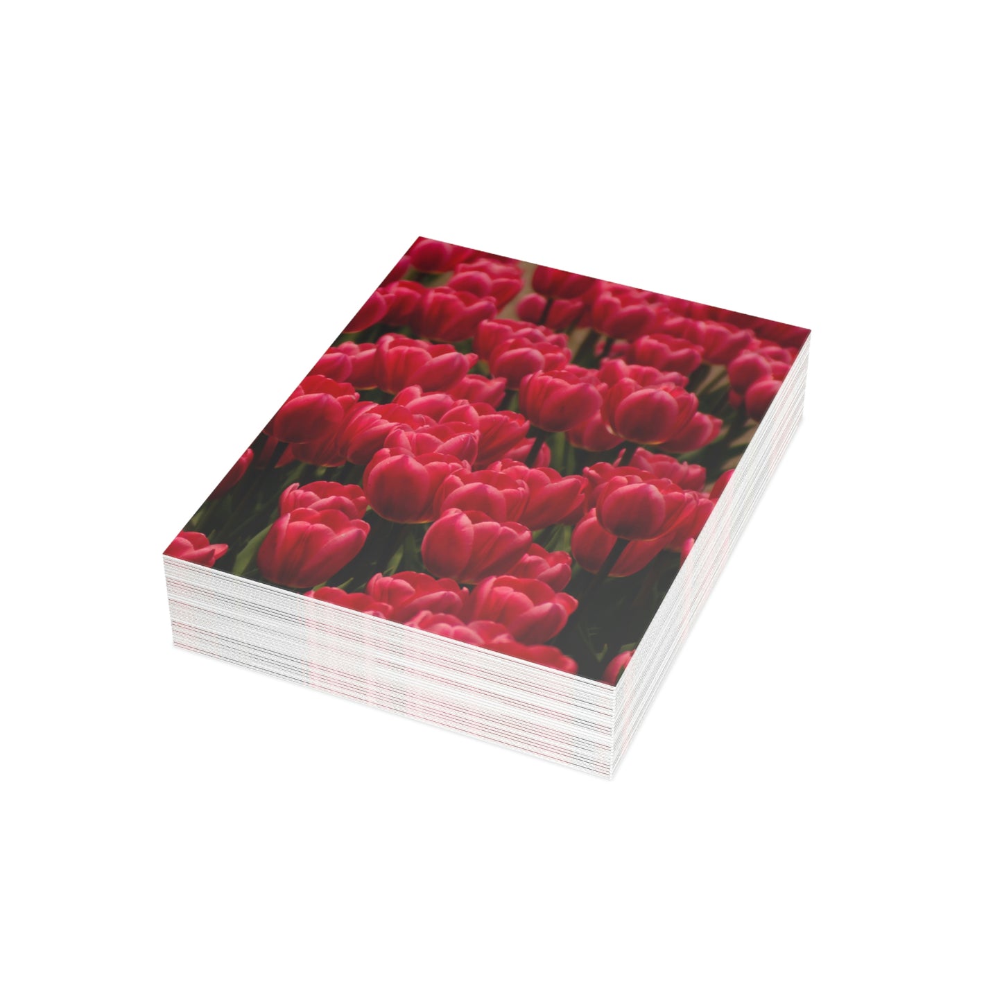Flowers 16 Greeting Cards (1, 10, 30, and 50pcs)