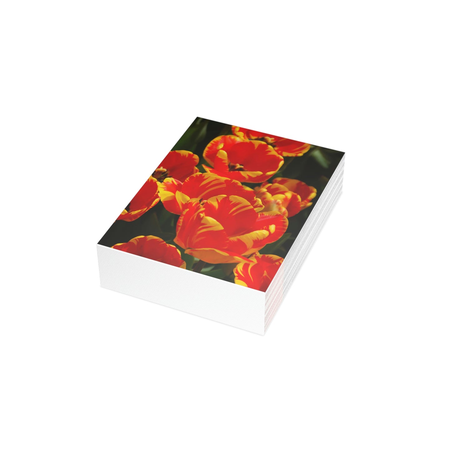 Flowers 19 Greeting Cards (1, 10, 30, and 50pcs)