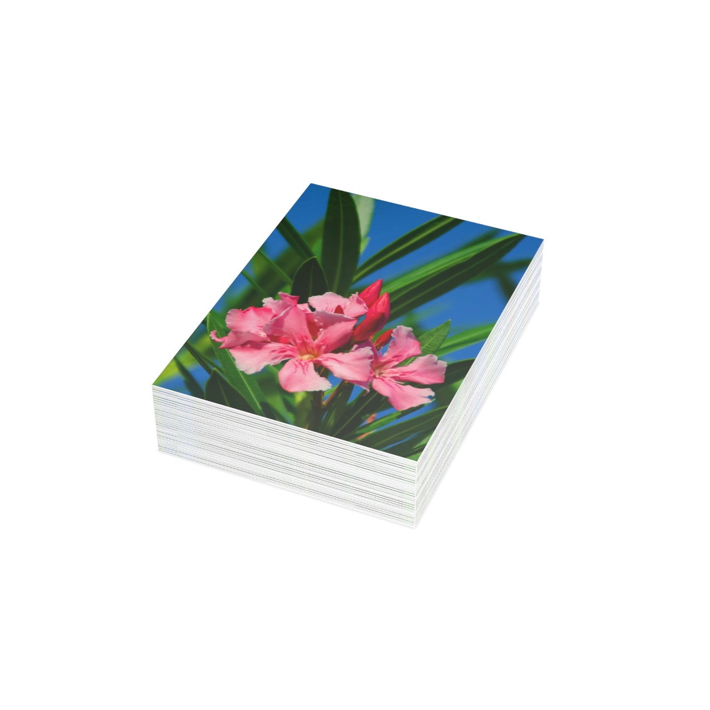 Flowers 30 Greeting Cards (1, 10, 30, and 50pcs)