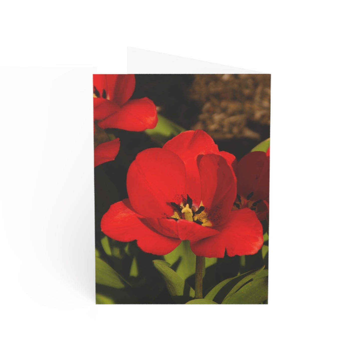 Flowers 05 Greeting Cards (1, 10, 30, and 50pcs)