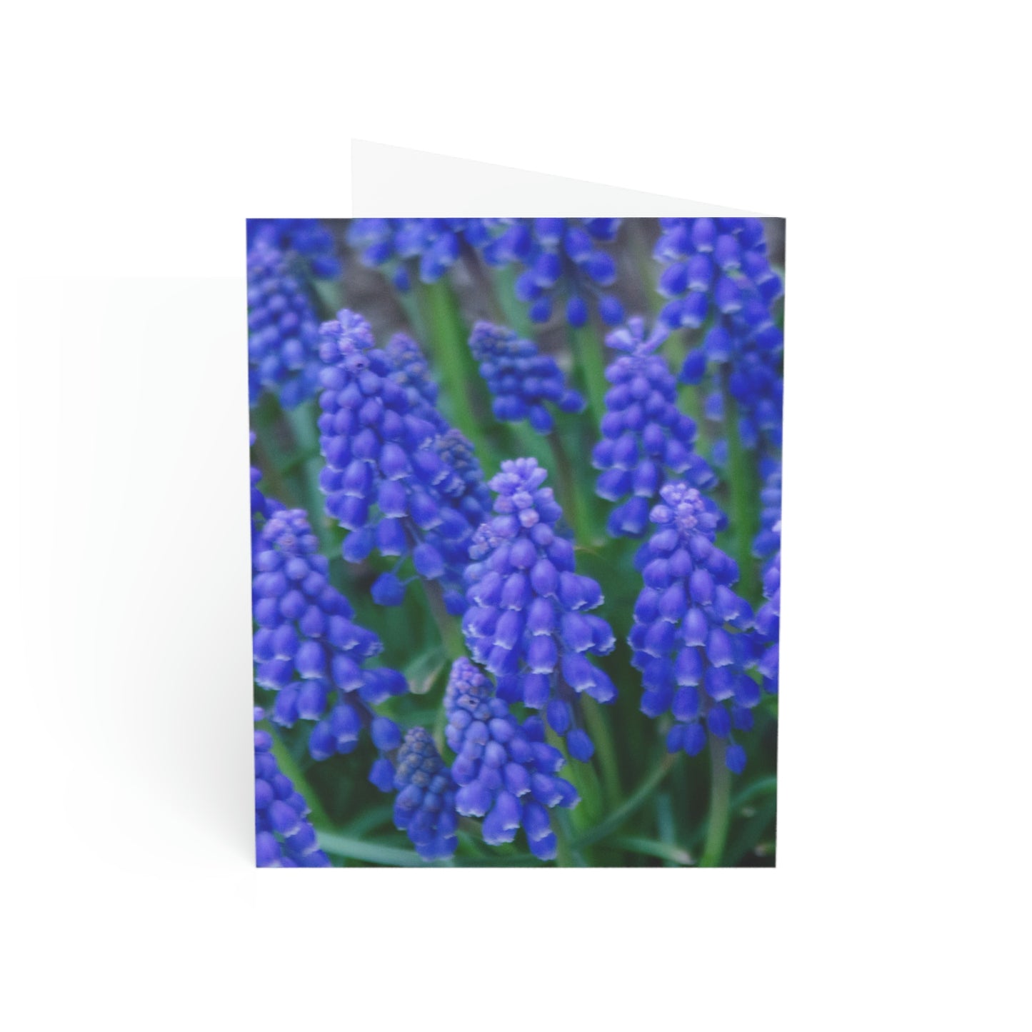 Flowers 10 Greeting Cards (1, 10, 30, and 50pcs)