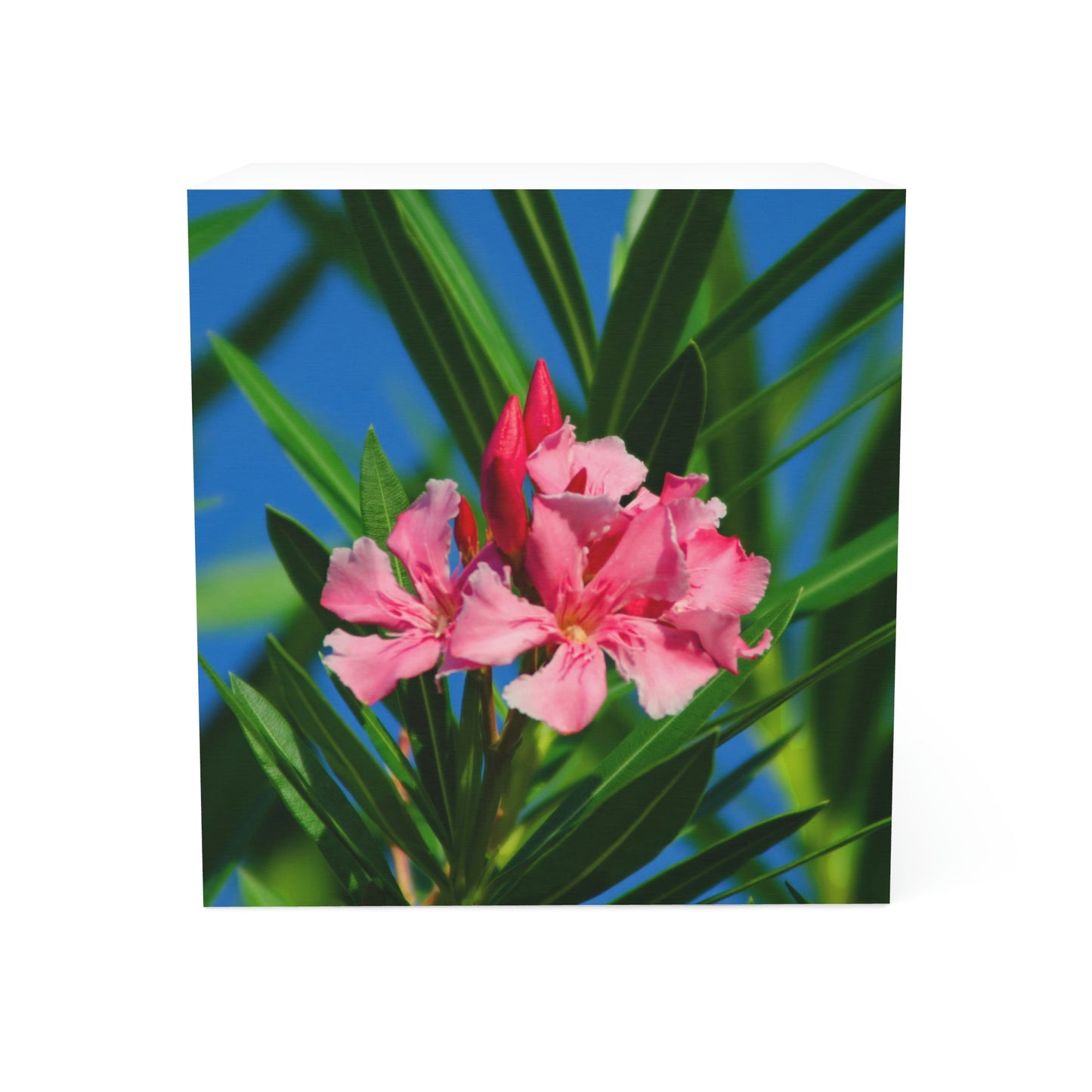 Flower 32 Note Cube