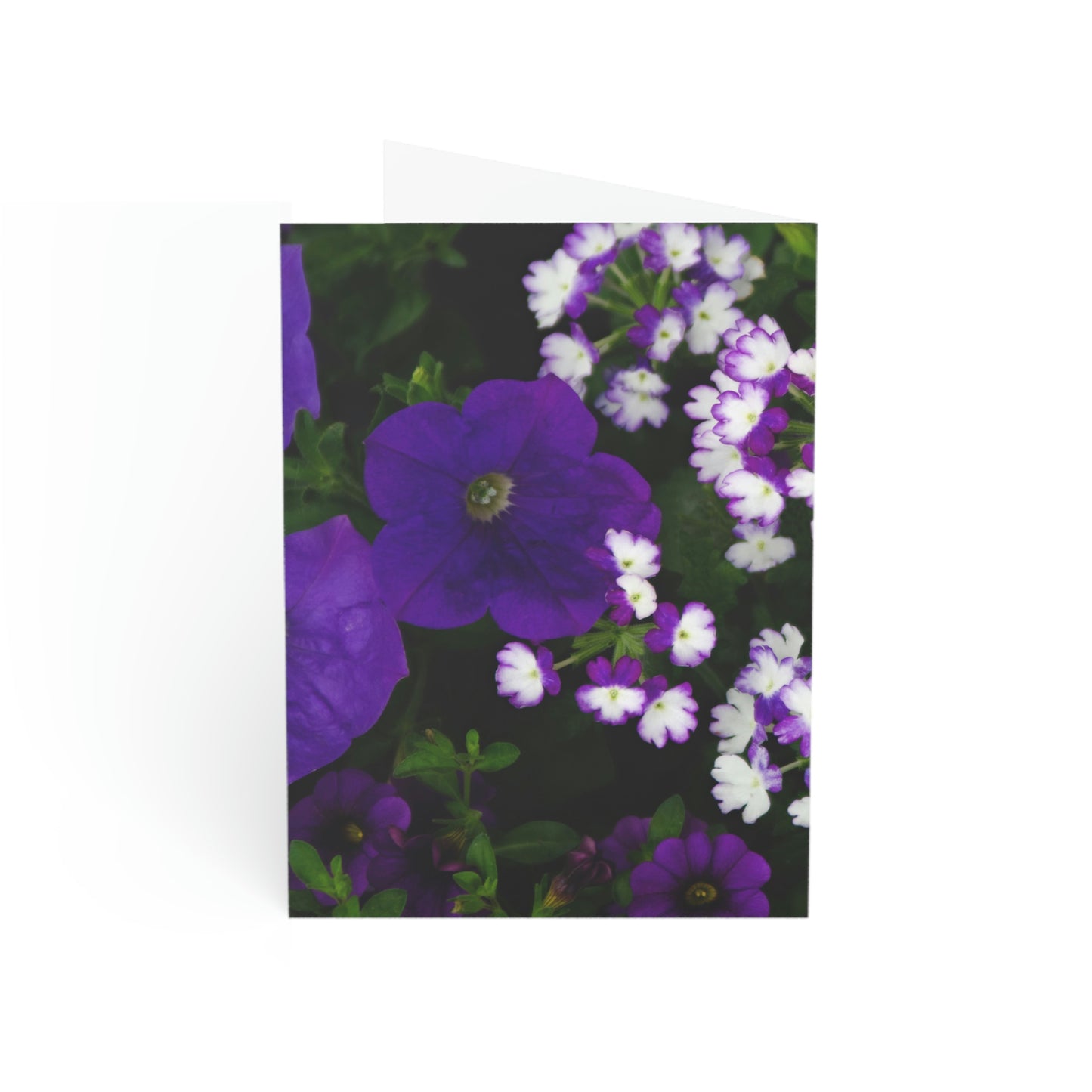 Flowers 04 Greeting Cards (1, 10, 30, and 50pcs)