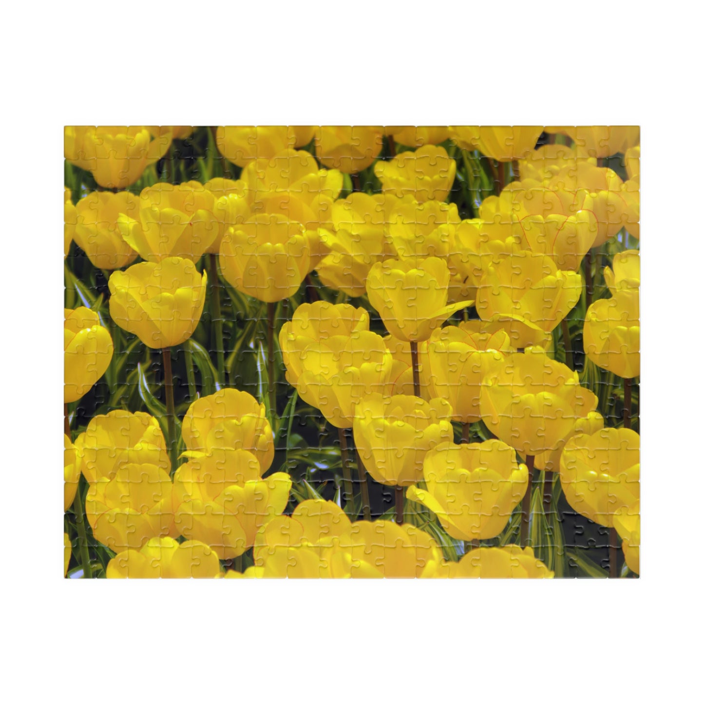 Flowers 23 Puzzle (110, 252, 500, 1014-piece)