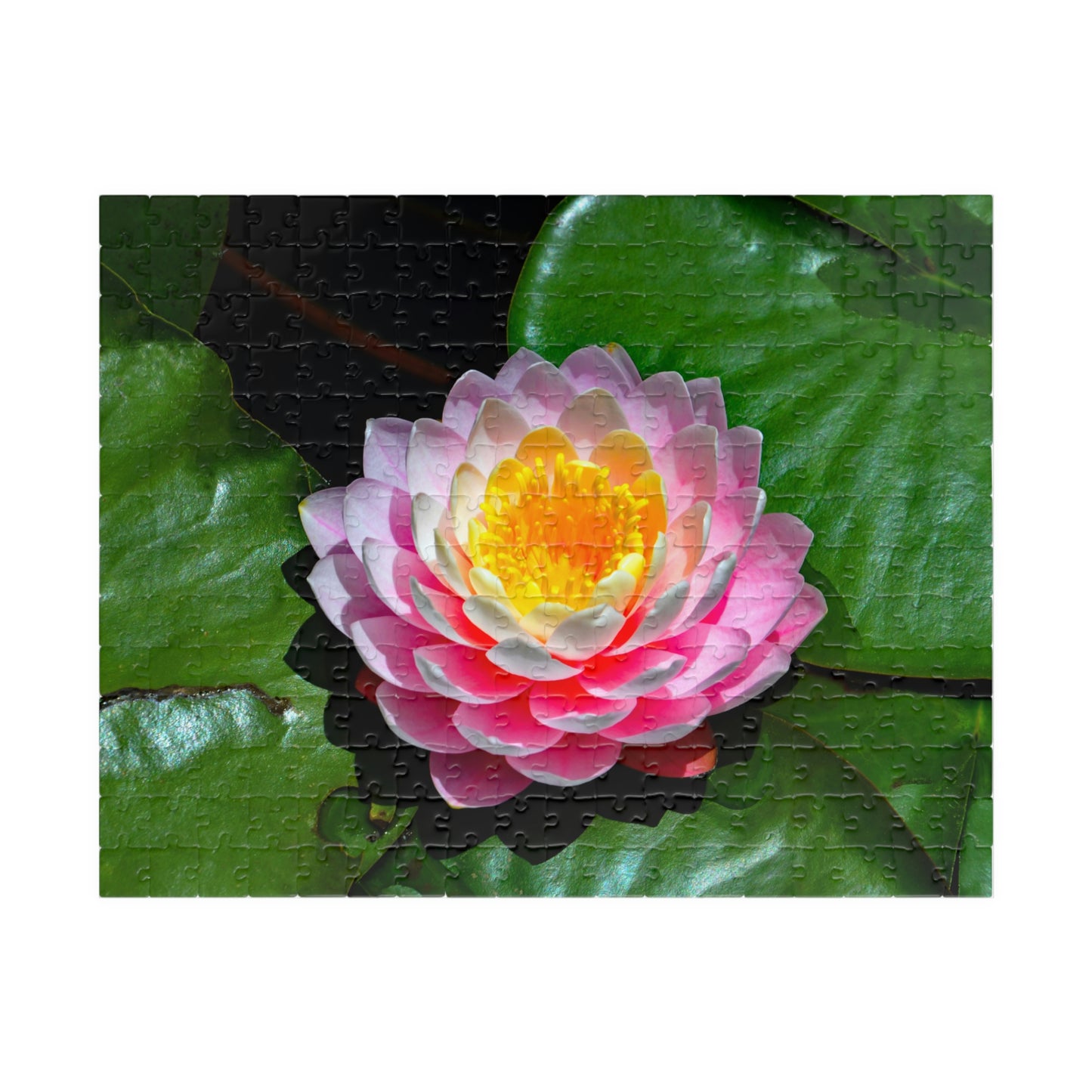 Flowers 25 Puzzle (110, 252, 500, 1014-piece)