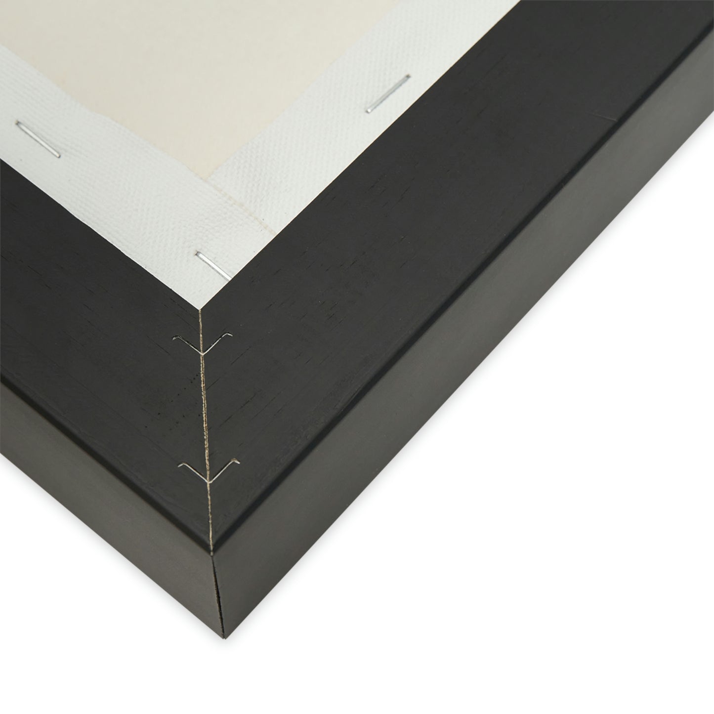 Orcas Matte Canvas, Black Frame