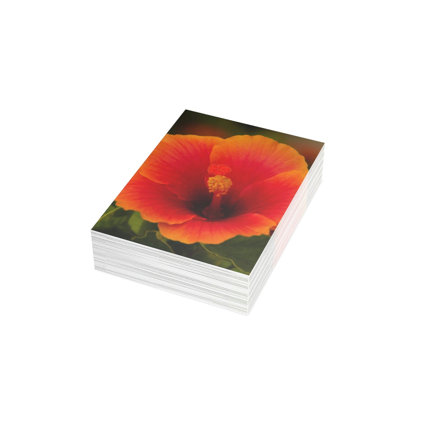 Flowers 31 Greeting Cards (1, 10, 30, and 50pcs)