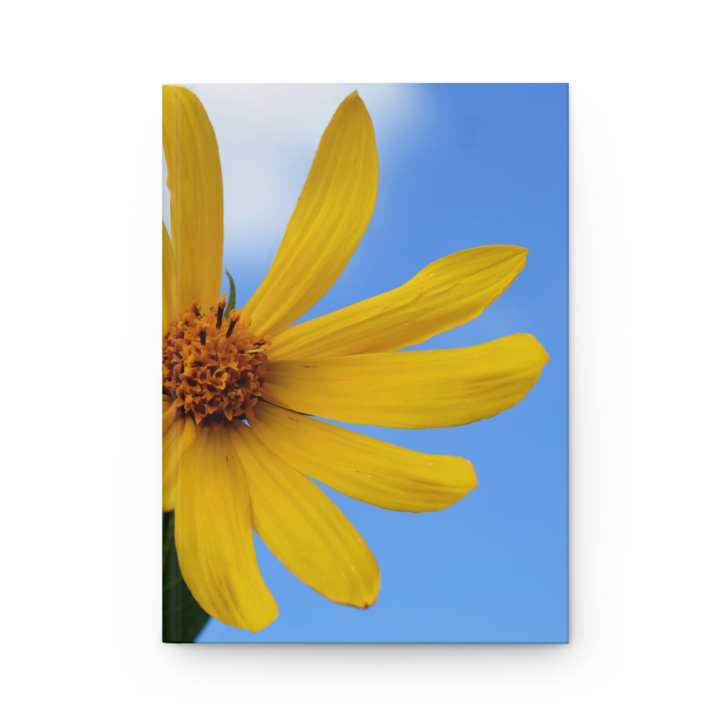 Flowers 31 Hardcover Journal Matte