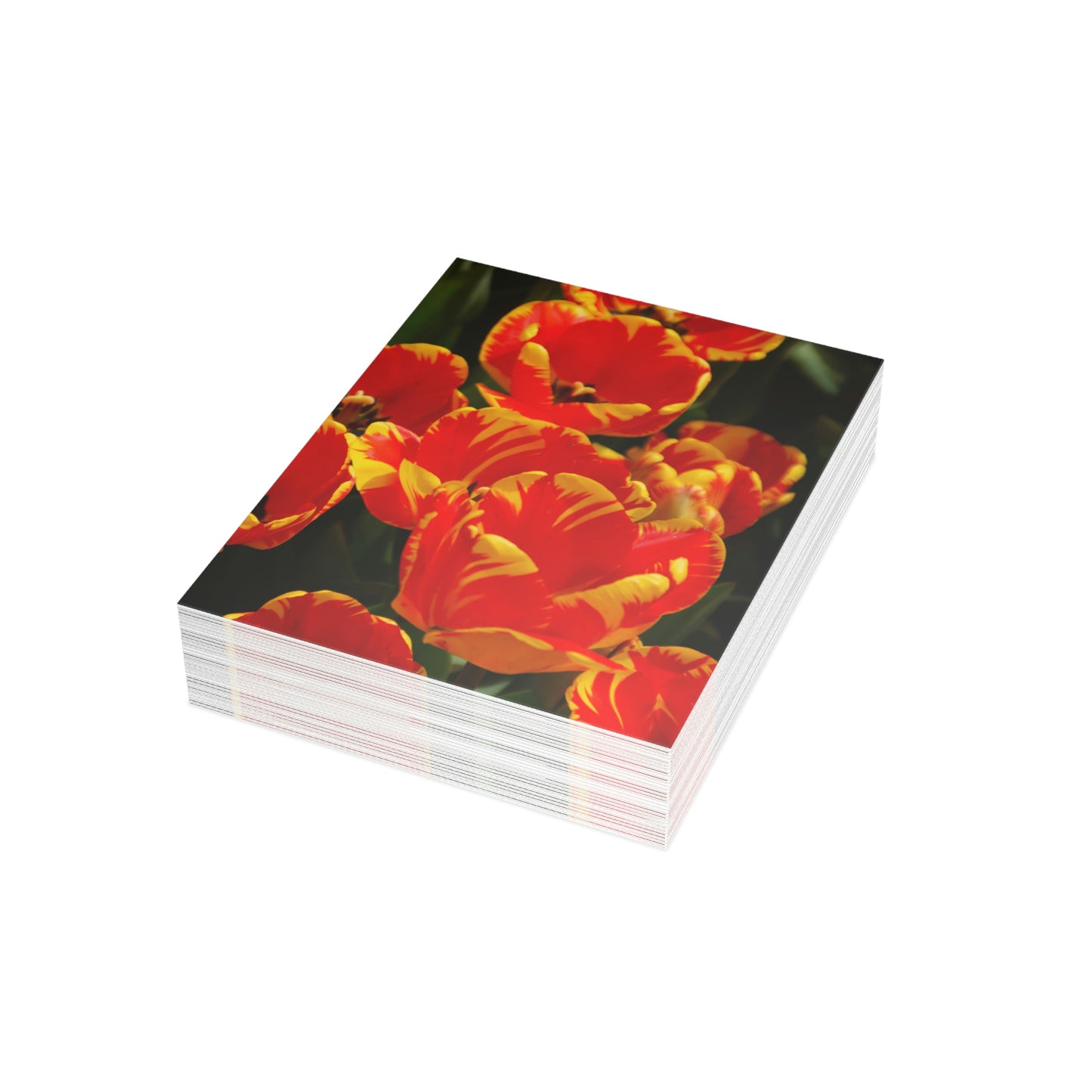 Flowers 19 Greeting Cards (1, 10, 30, and 50pcs)