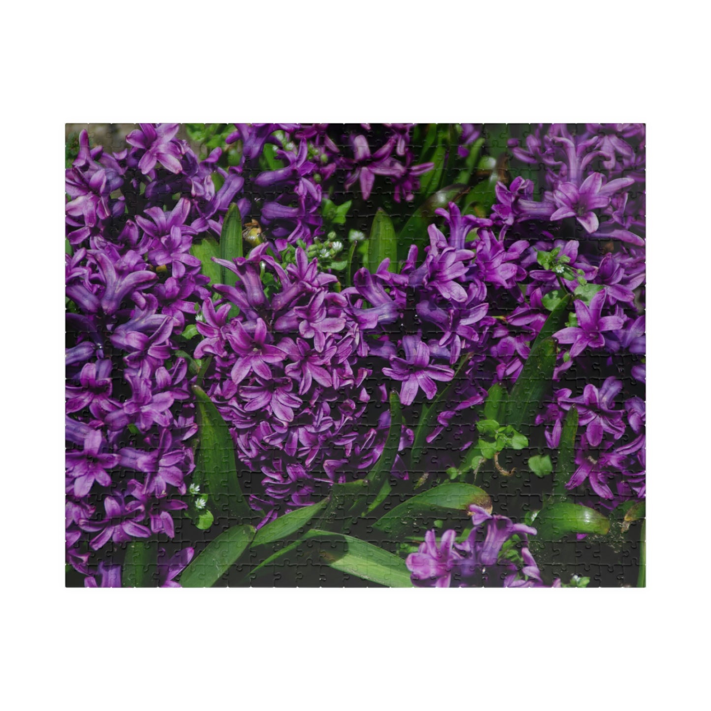Flowers 20 Puzzle (110, 252, 500, 1014-piece)