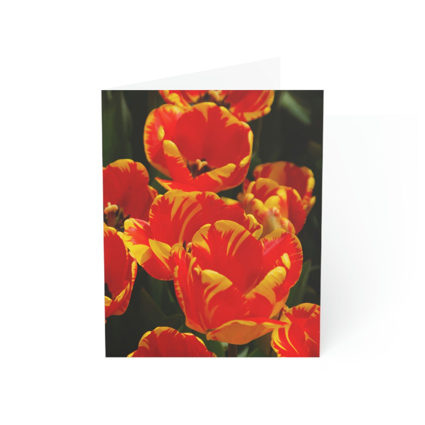 Flowers 19 Greeting Cards (1, 10, 30, and 50pcs)