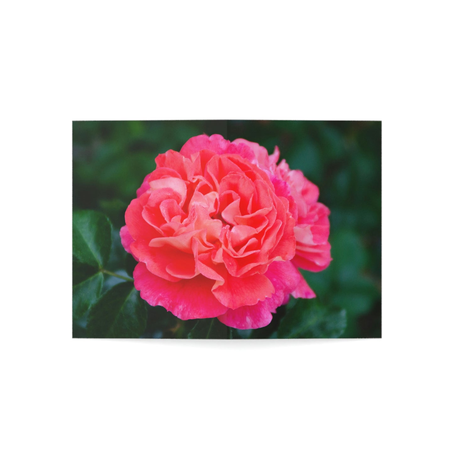 Flowers 06 Greeting Cards (1, 10, 30, and 50pcs)