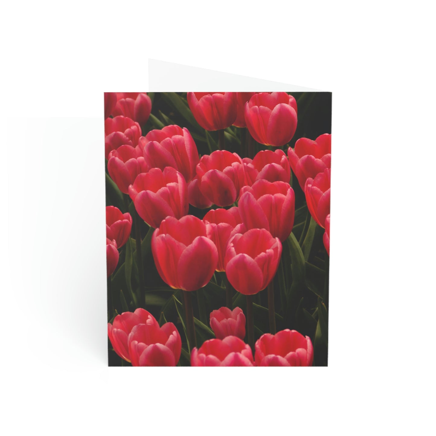 Flowers 24 Greeting Cards (1, 10, 30, and 50pcs)