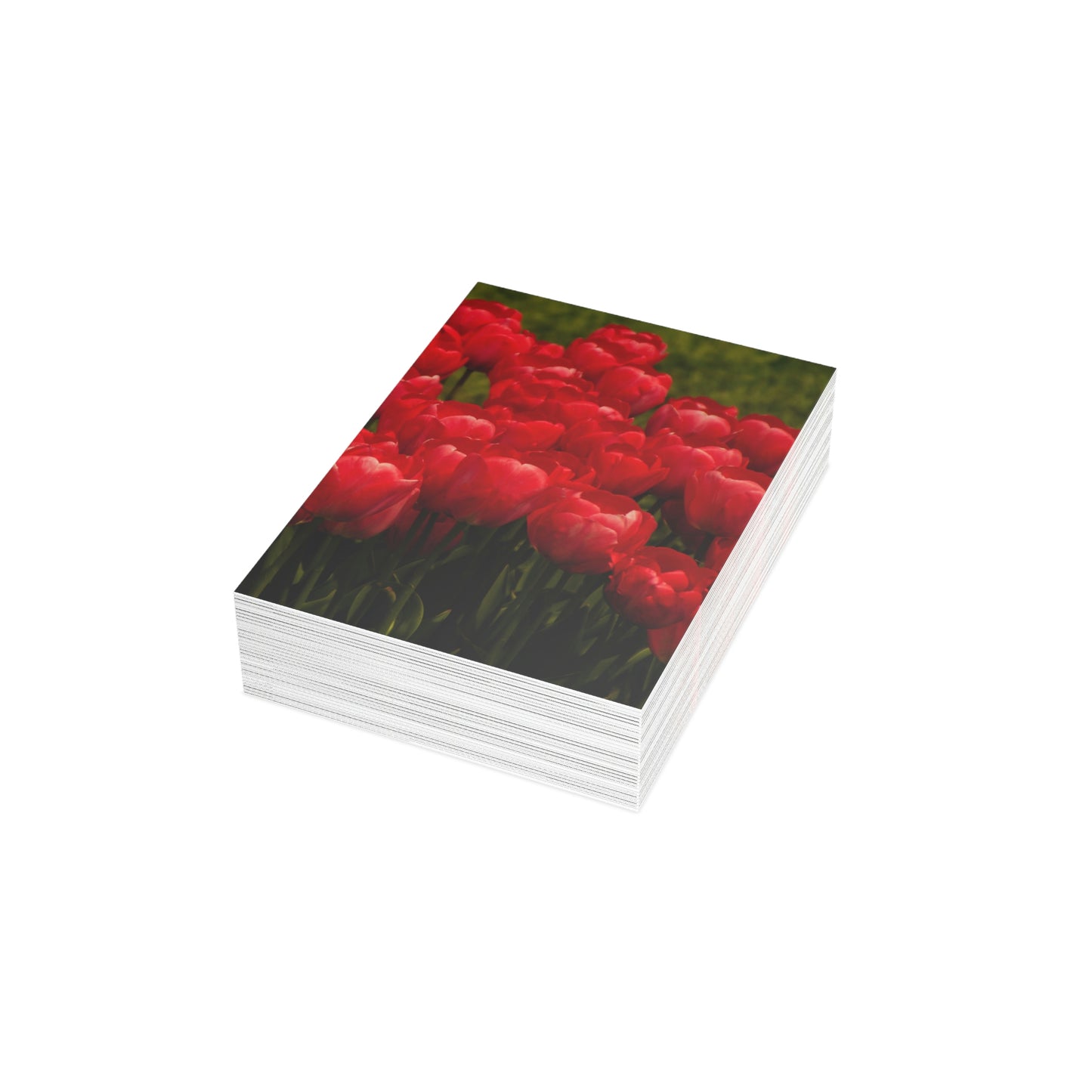 Flowers 22 Greeting Cards (1, 10, 30, and 50pcs)
