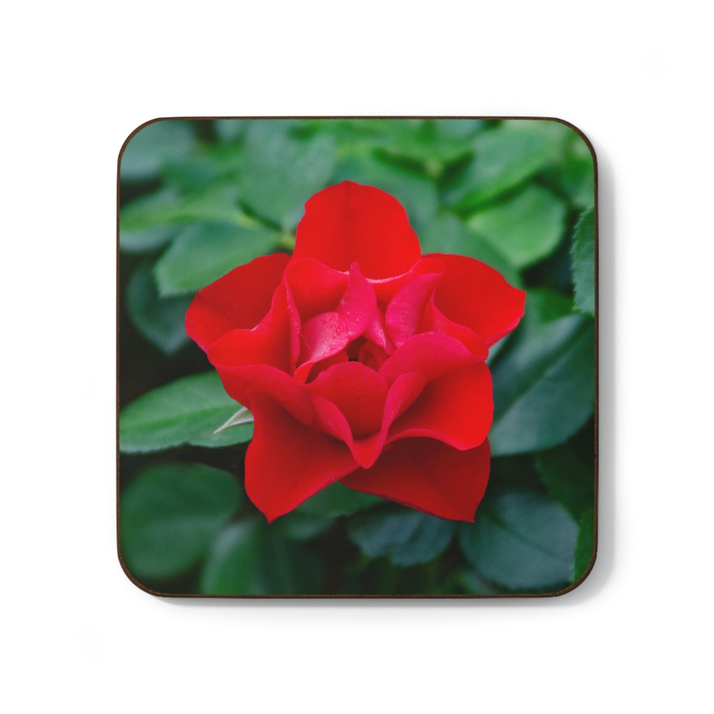 Flowers 07 Hardboard Back Coaster