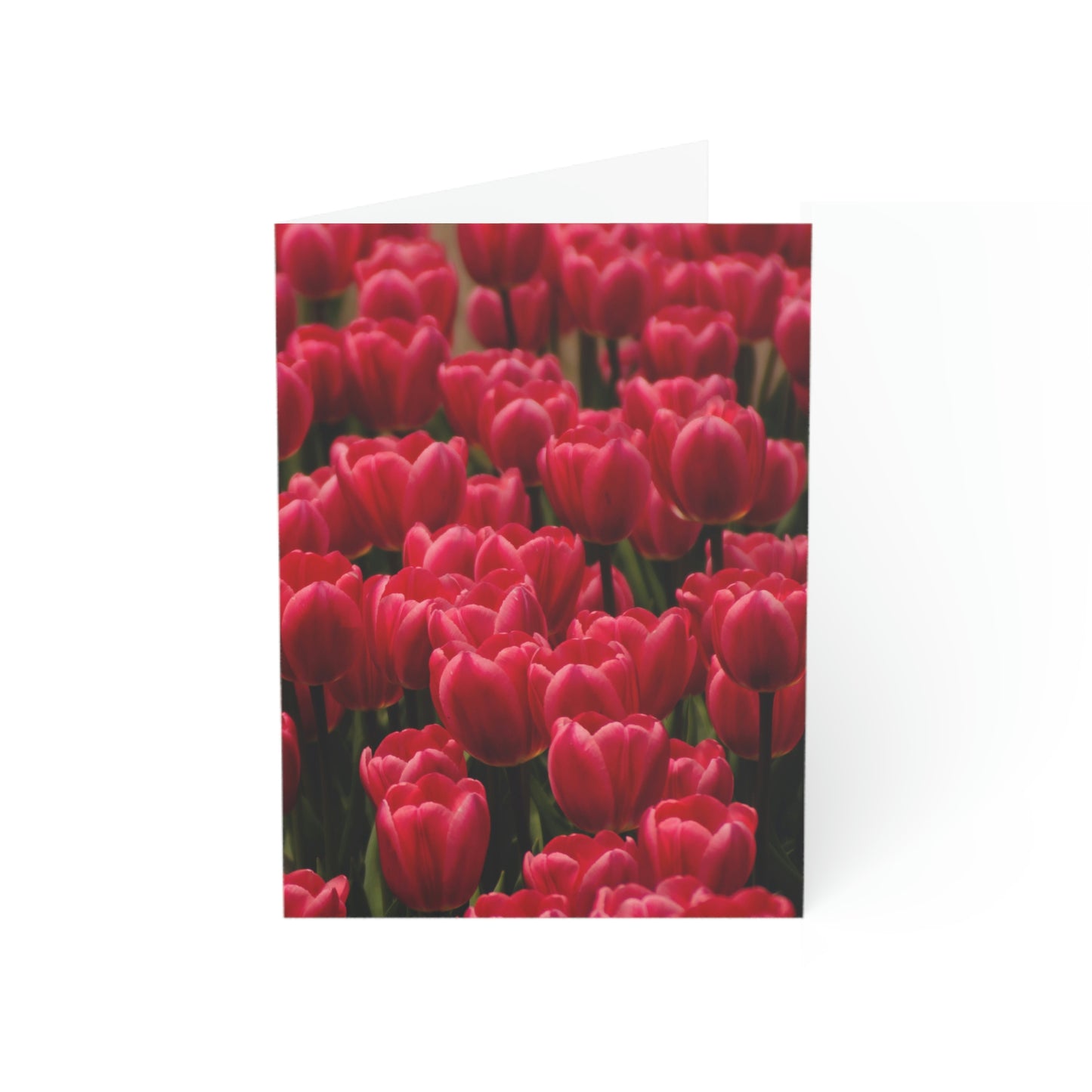 Flowers 16 Greeting Cards (1, 10, 30, and 50pcs)
