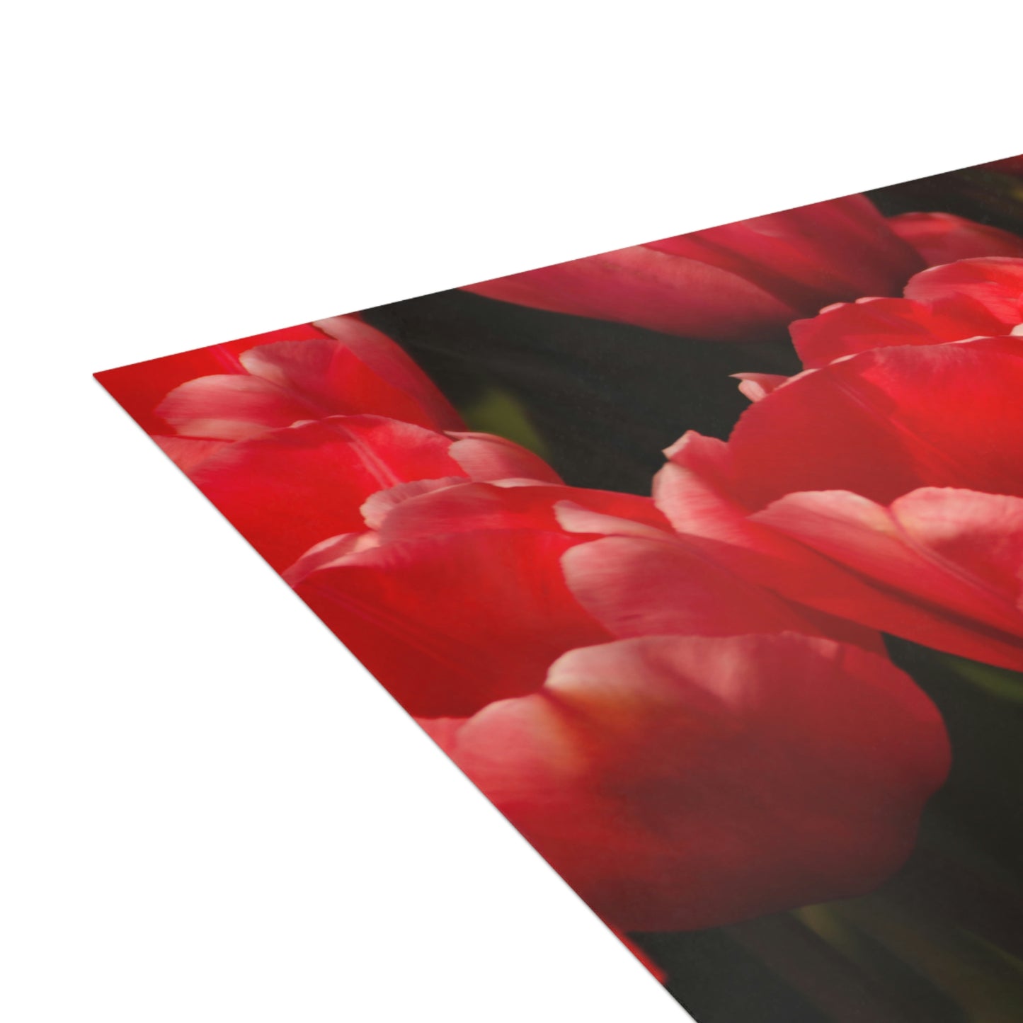 Flowers 07 Greeting Cards (1, 10, 30, and 50pcs)