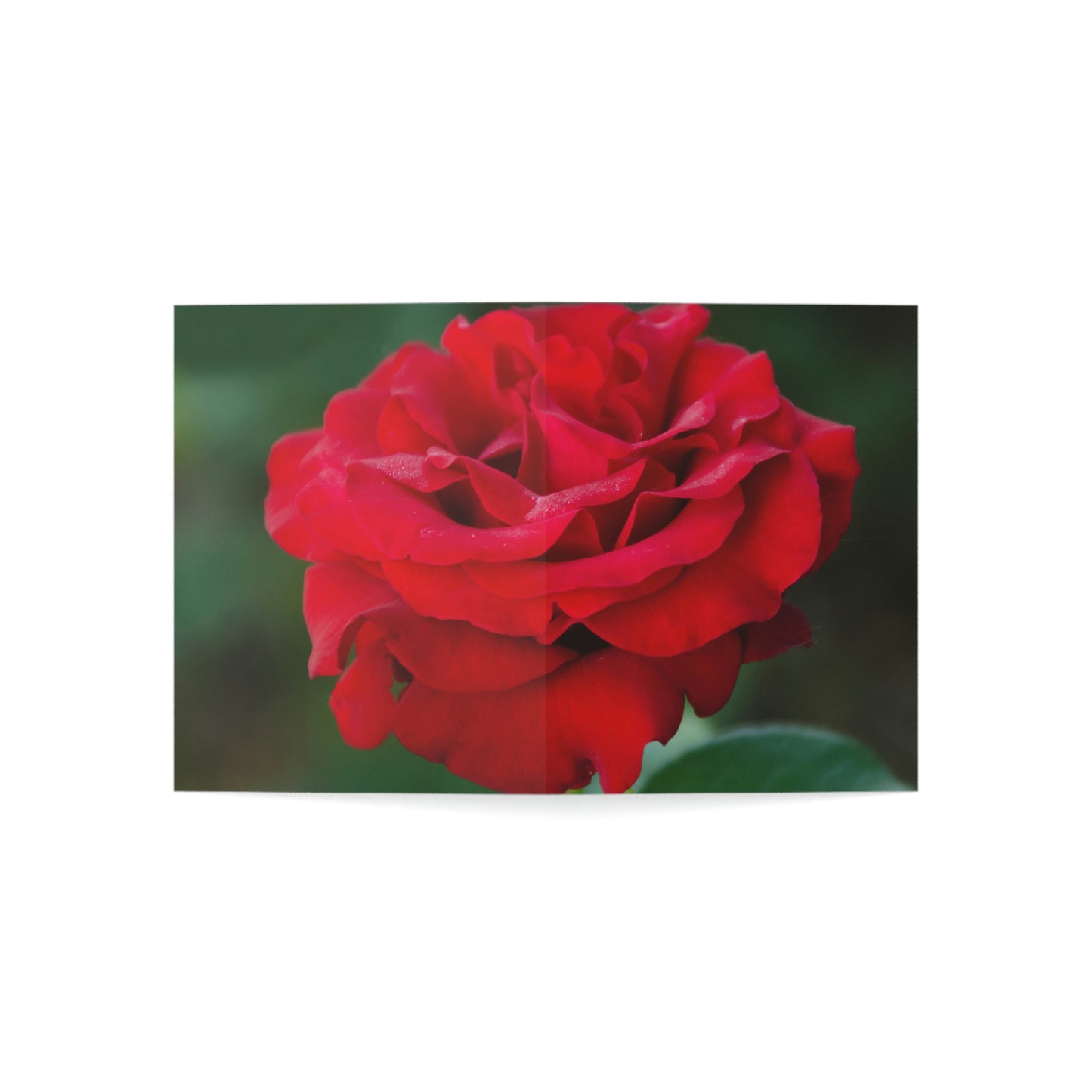 Flowers 13 Greeting Cards (1, 10, 30, and 50pcs)