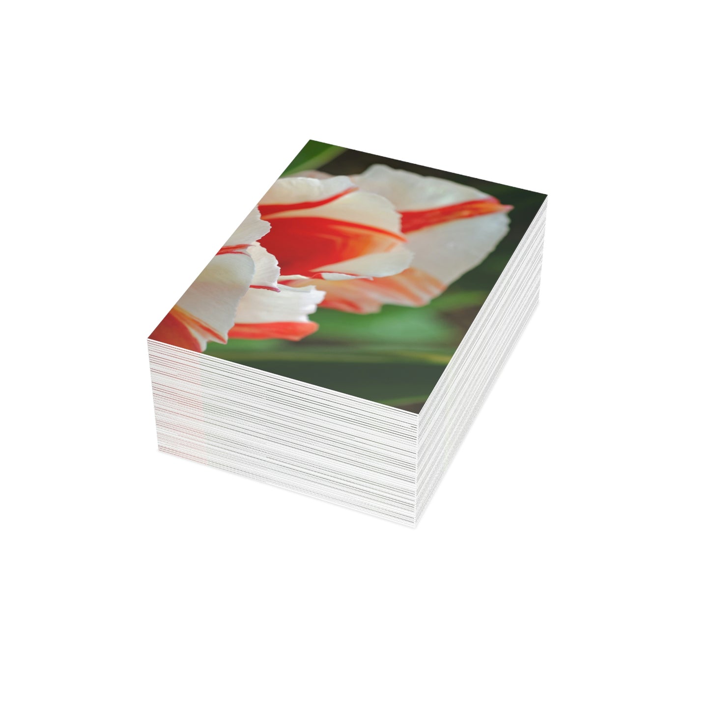 Flowers 12 Greeting Cards (1, 10, 30, and 50pcs)