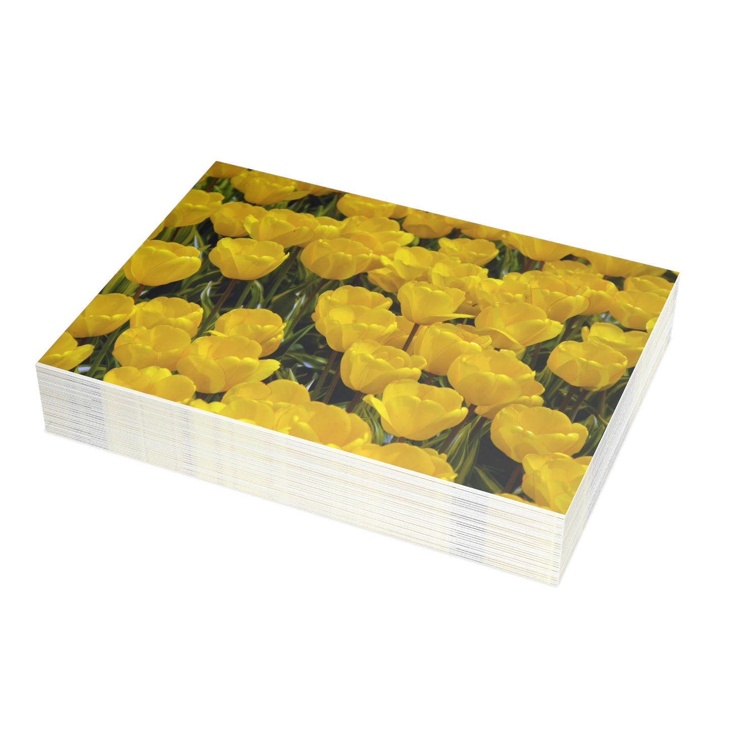 Flowers 24 Greeting Card Bundles (envelopes not included)