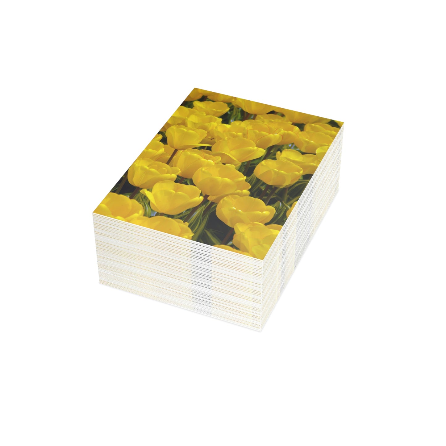 Flowers 23 Greeting Cards (1, 10, 30, and 50pcs)