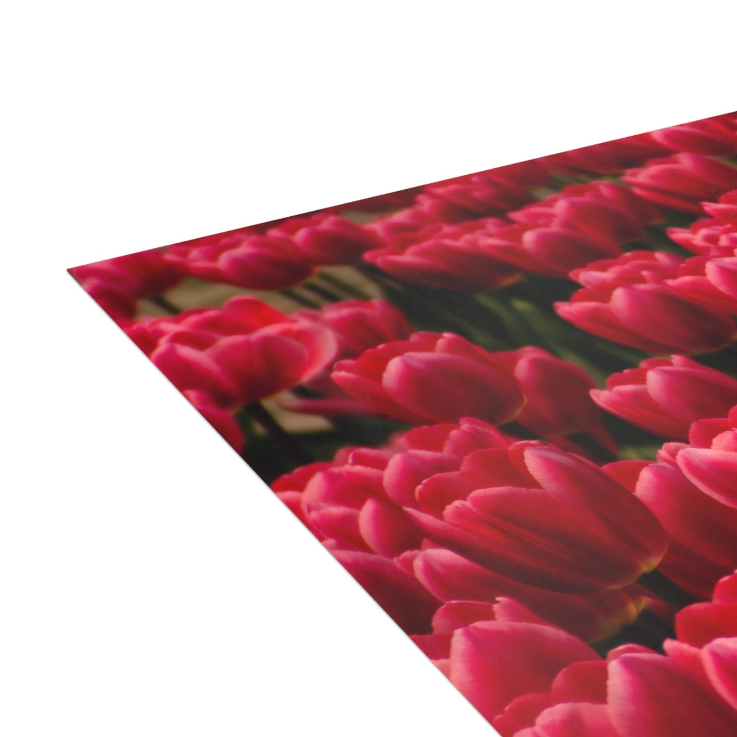 Flowers 16 Greeting Cards (1, 10, 30, and 50pcs)