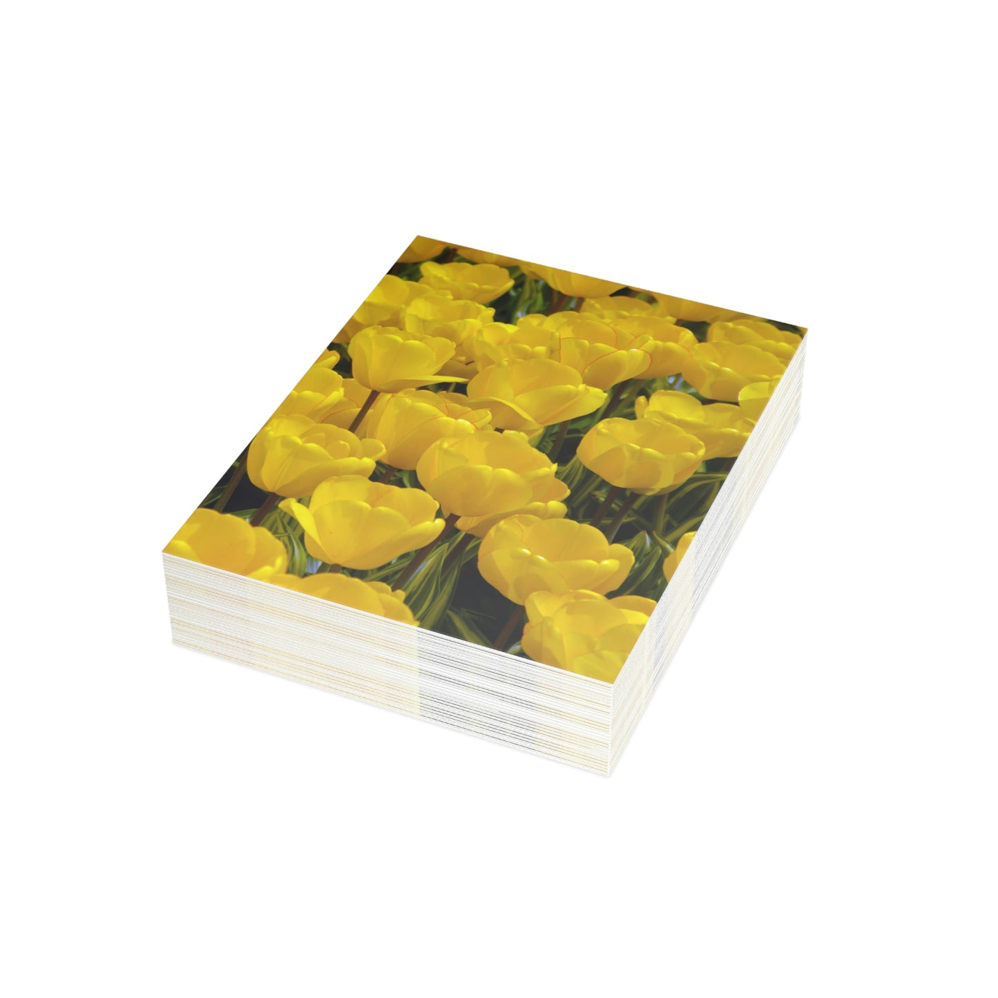Flowers 23 Greeting Cards (1, 10, 30, and 50pcs)