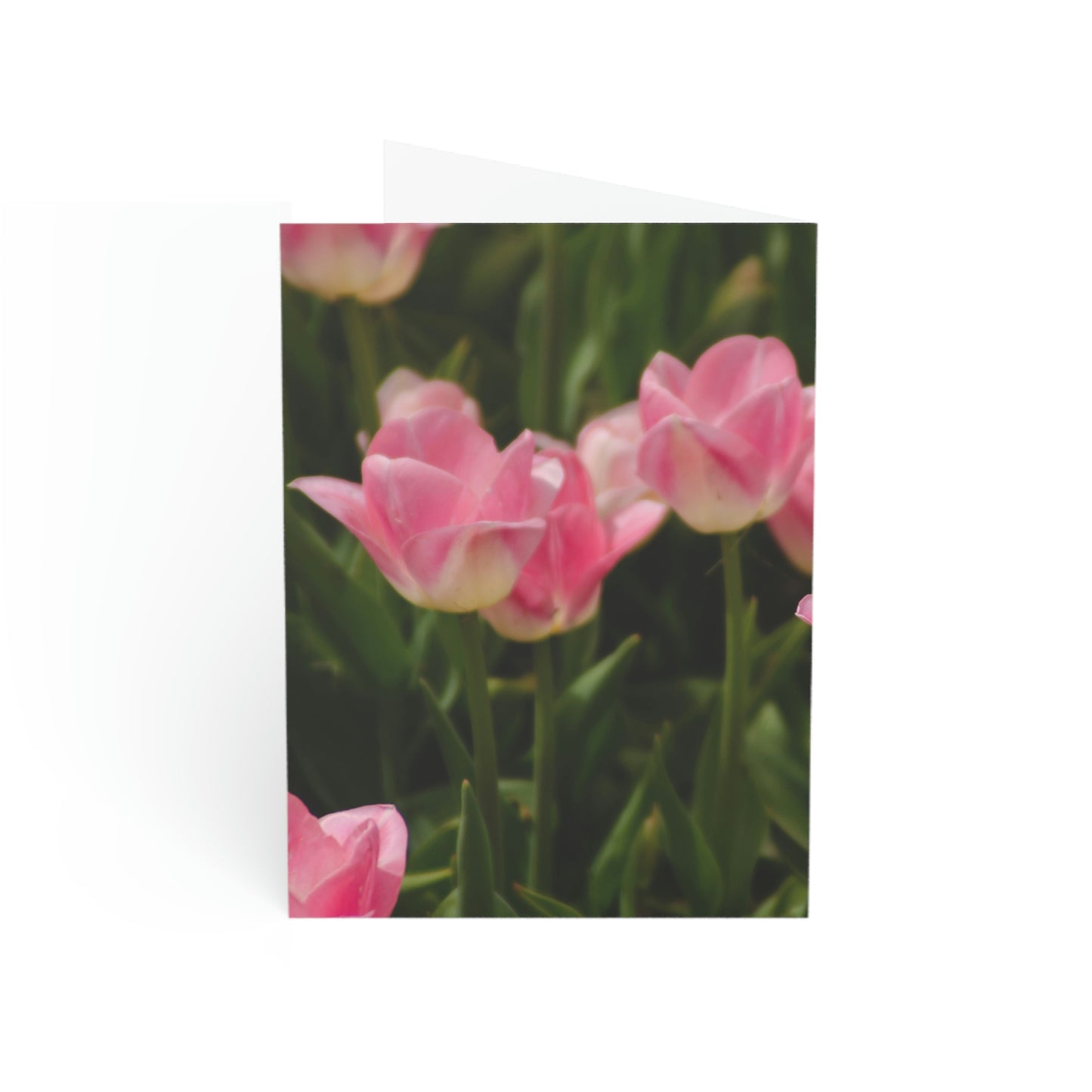Flowers 17 Greeting Cards (1, 10, 30, and 50pcs)