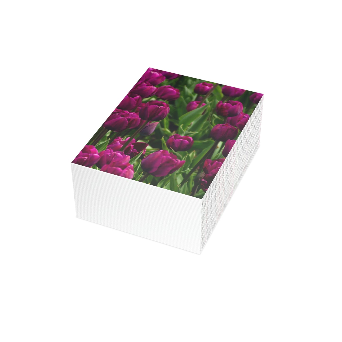 Flowers 20 Greeting Cards (1, 10, 30, and 50pcs)