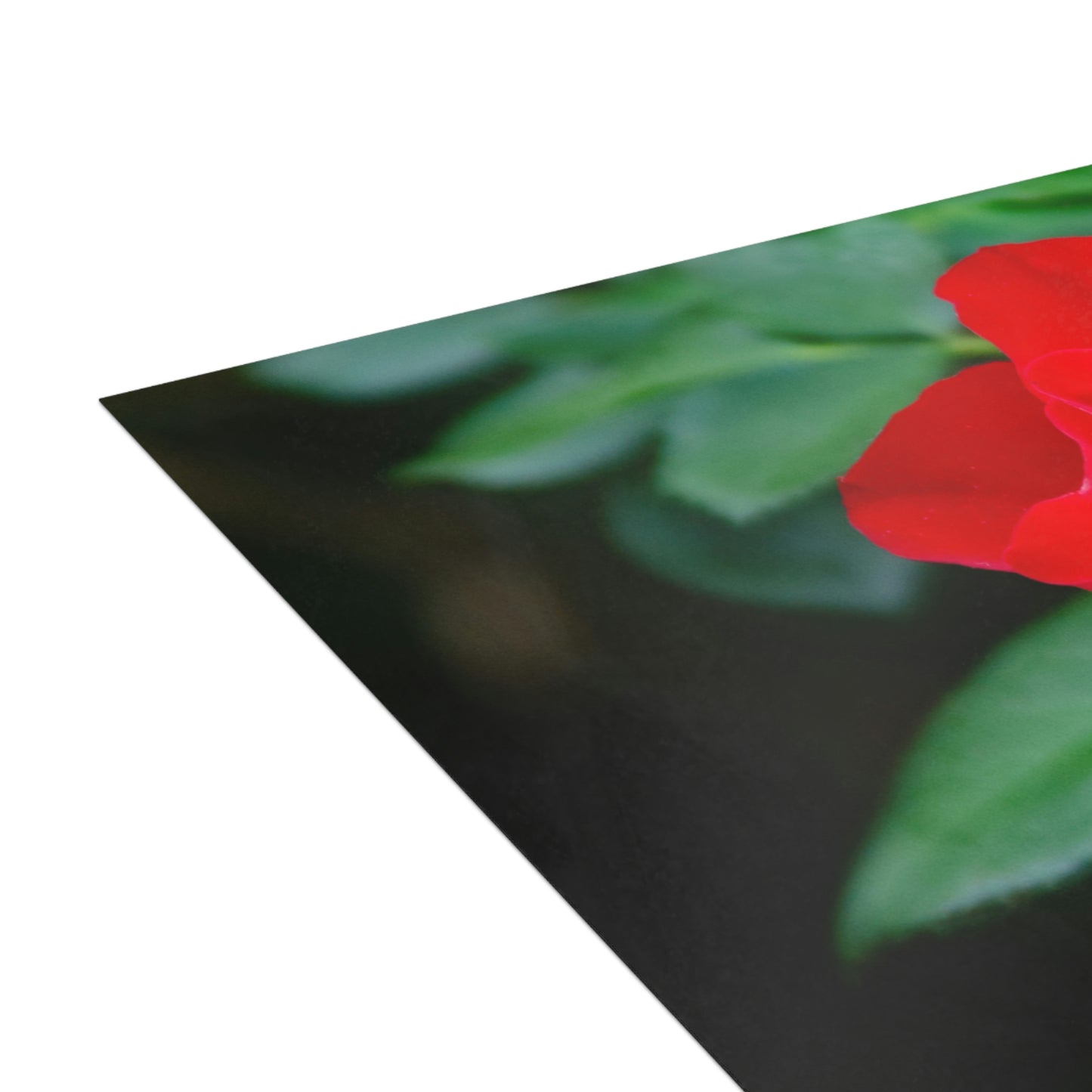 Flowers 11 Greeting Cards (1, 10, 30, and 50pcs)