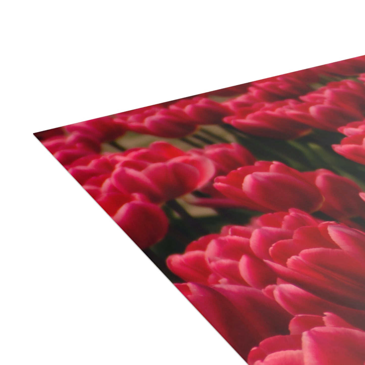 Flowers 16 Greeting Cards (1, 10, 30, and 50pcs)