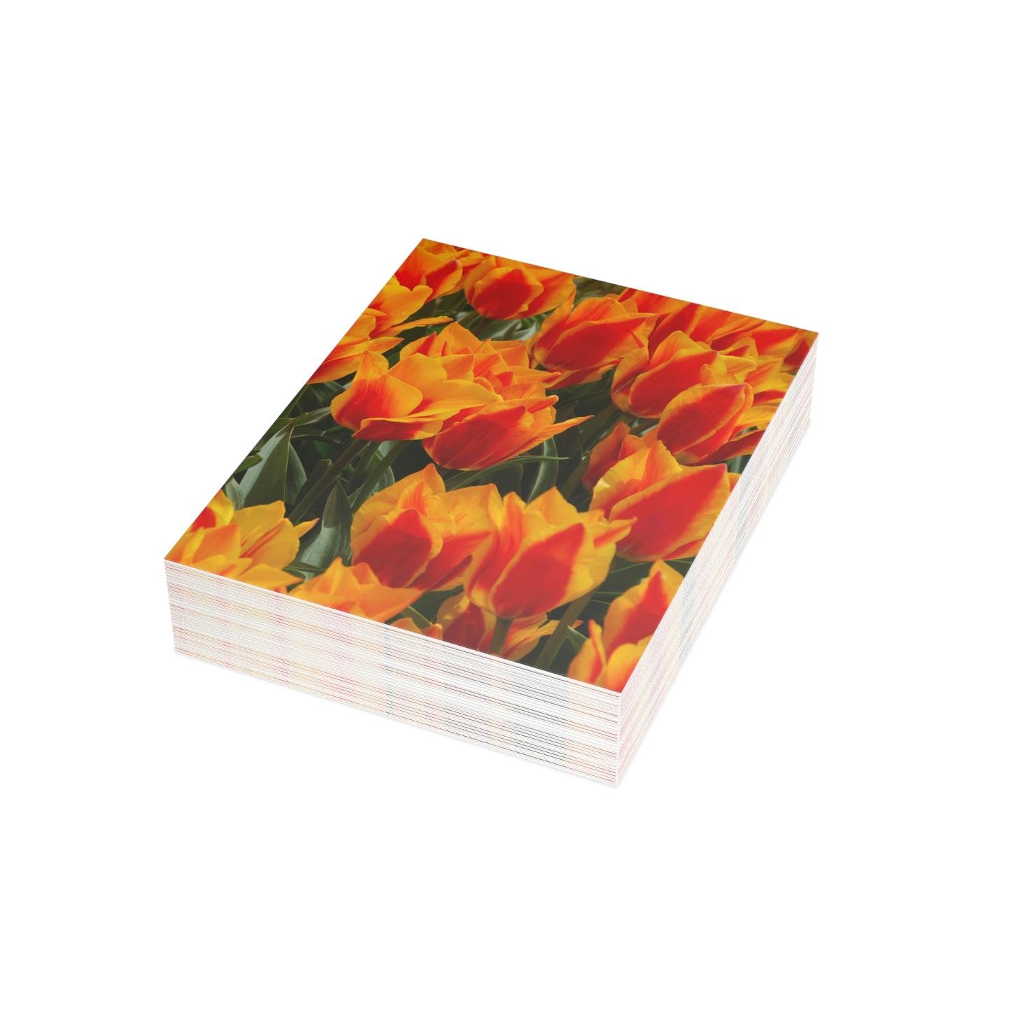 Flowers 18 Greeting Cards (1, 10, 30, and 50pcs)