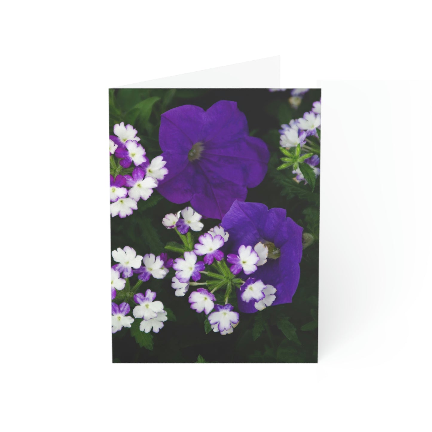 Flowers 04 Greeting Cards (1, 10, 30, and 50pcs)
