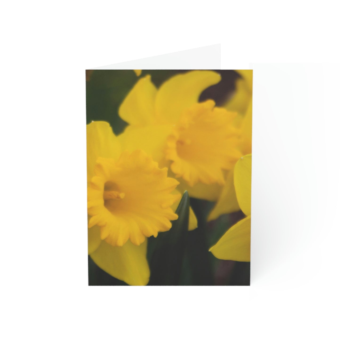 Flowers 08 Greeting Cards (1, 10, 30, and 50pcs)