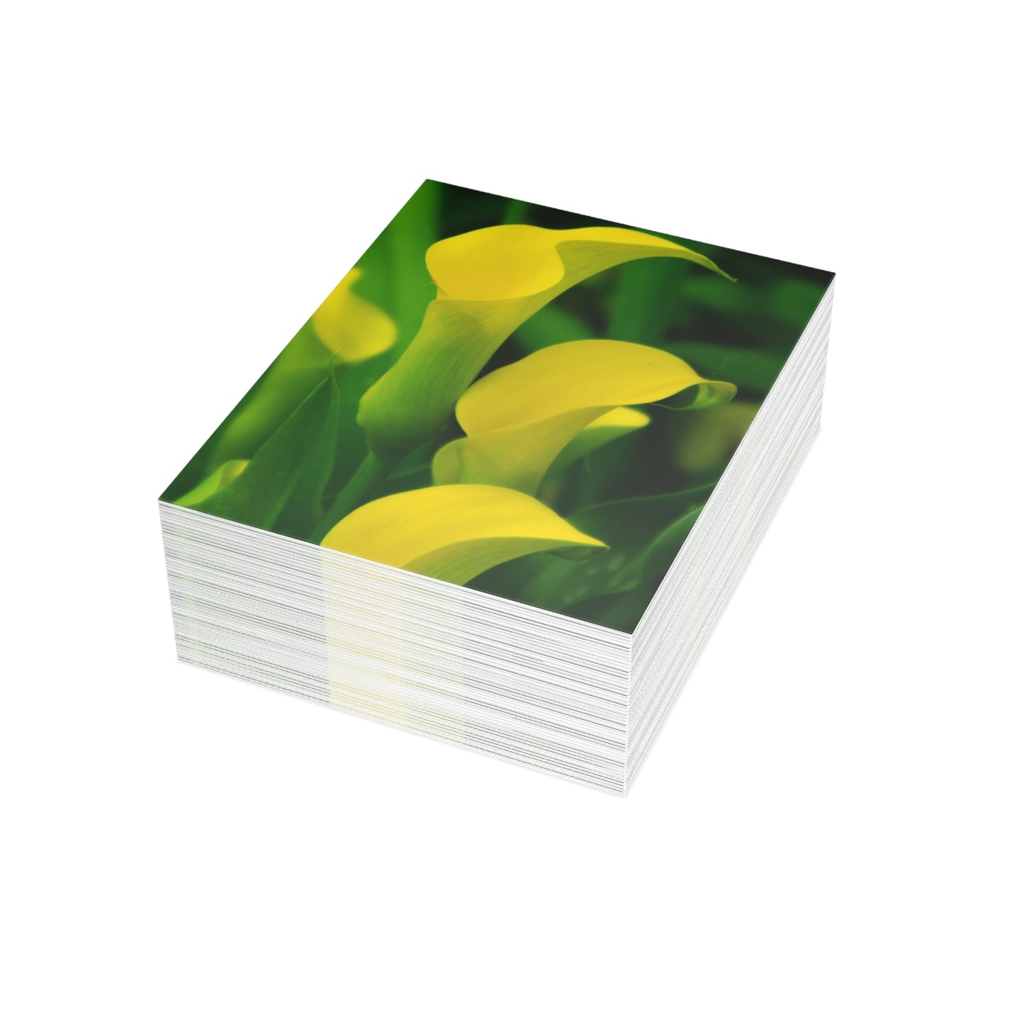 Flowers 33 Greeting Cards (1, 10, 30, and 50pcs)