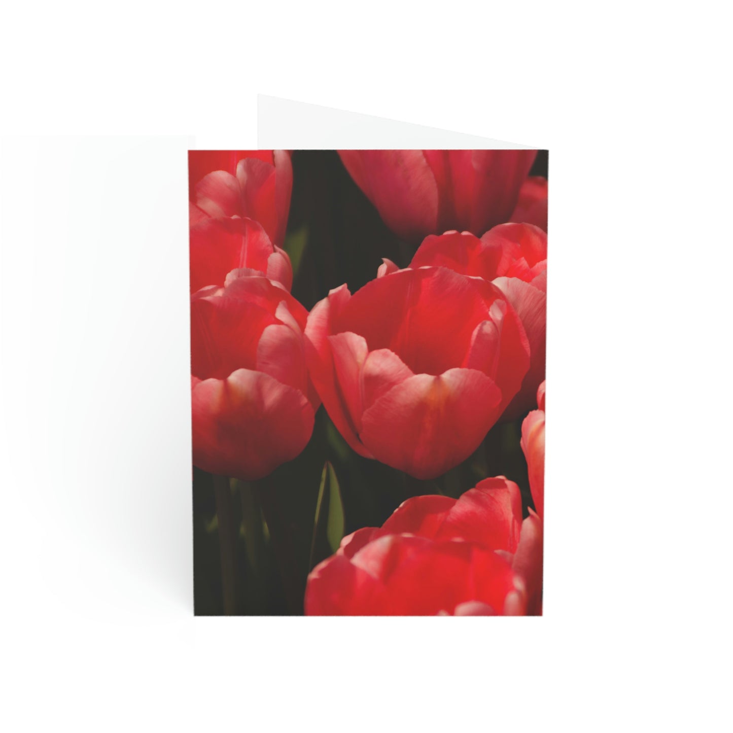 Flowers 07 Greeting Cards (1, 10, 30, and 50pcs)