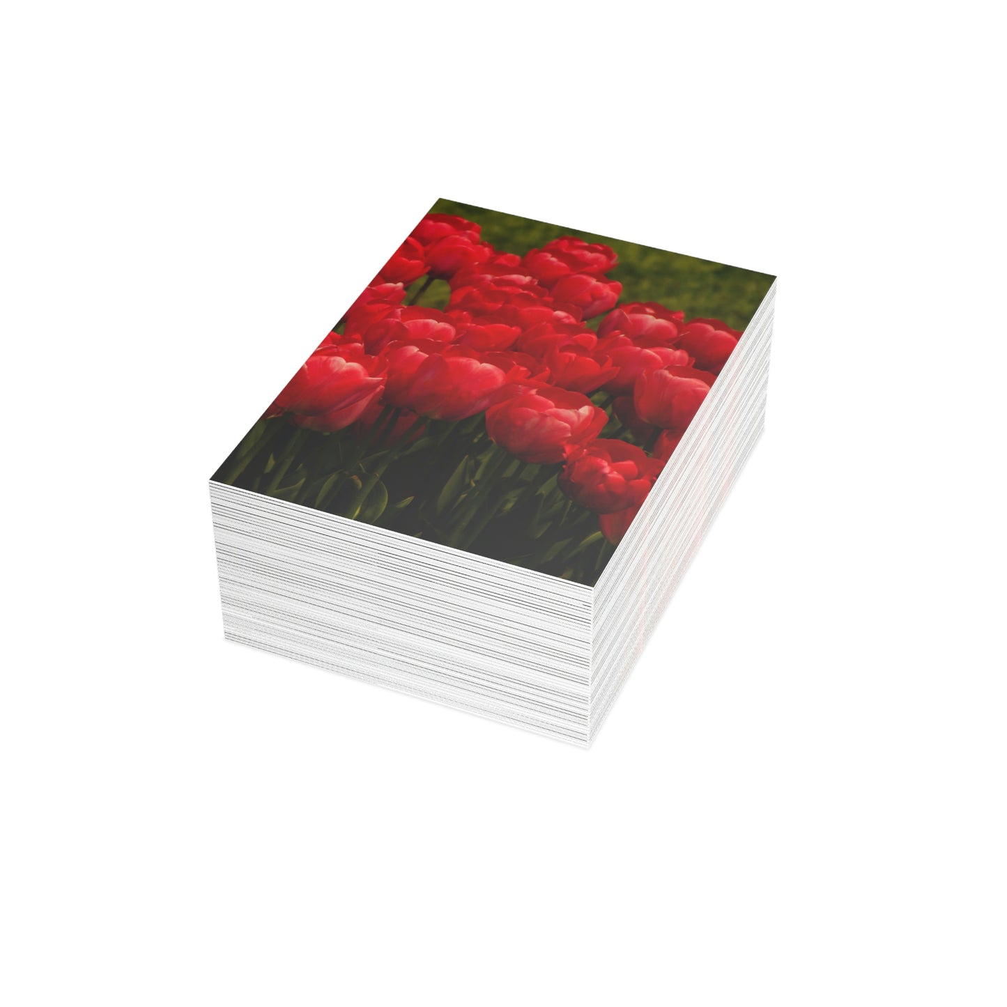 Flowers 22 Greeting Cards (1, 10, 30, and 50pcs)